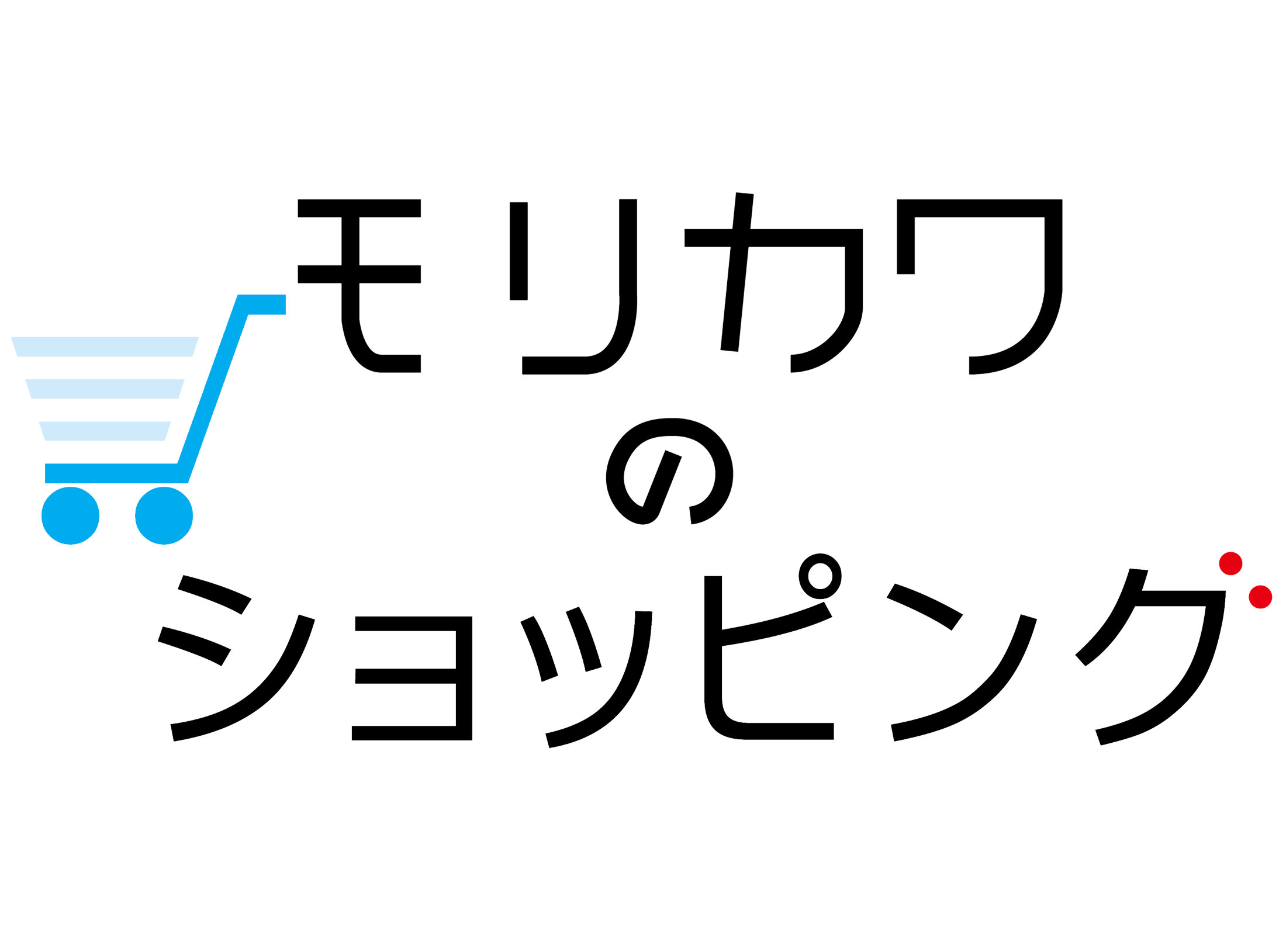 モリカワのショッピング