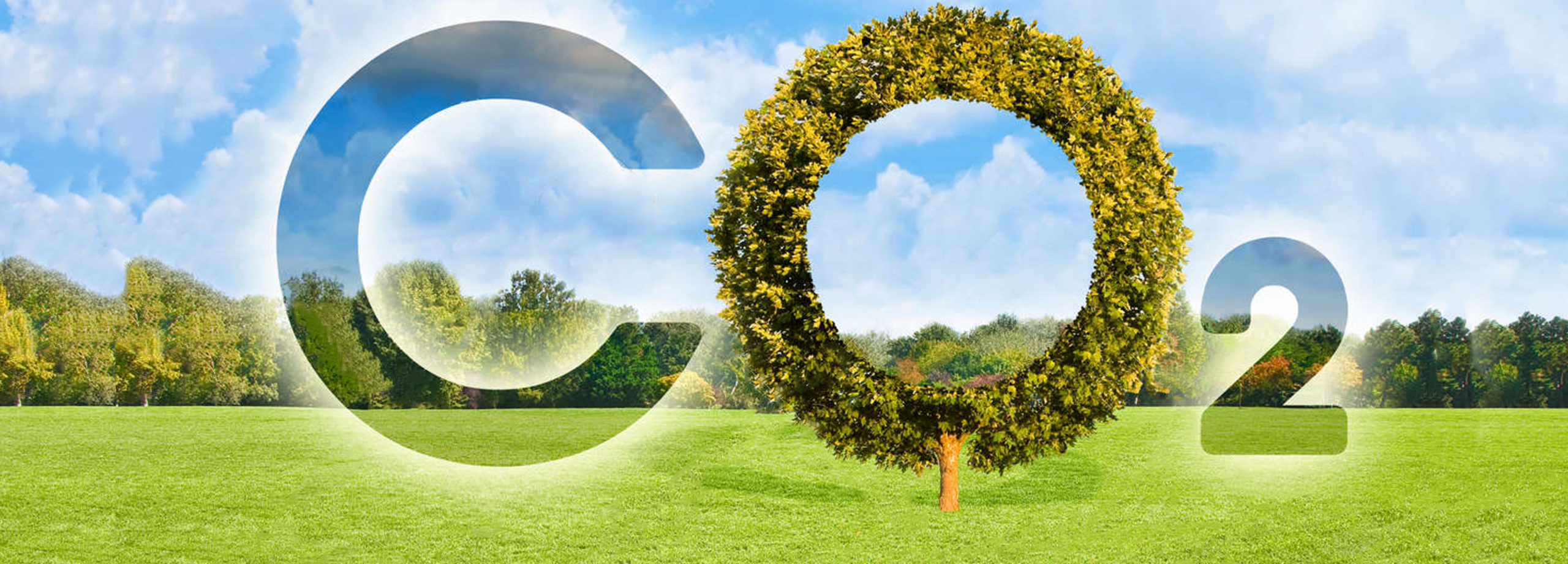 カーボンニュートラルLPガス