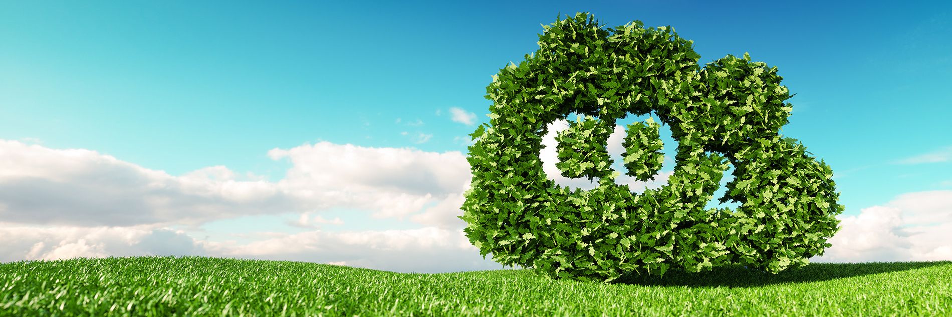 カーボンニュートラルLPガス