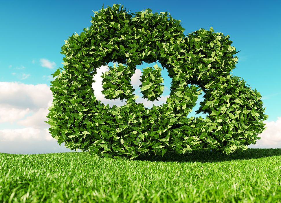 カーボンニュートラルLPガス