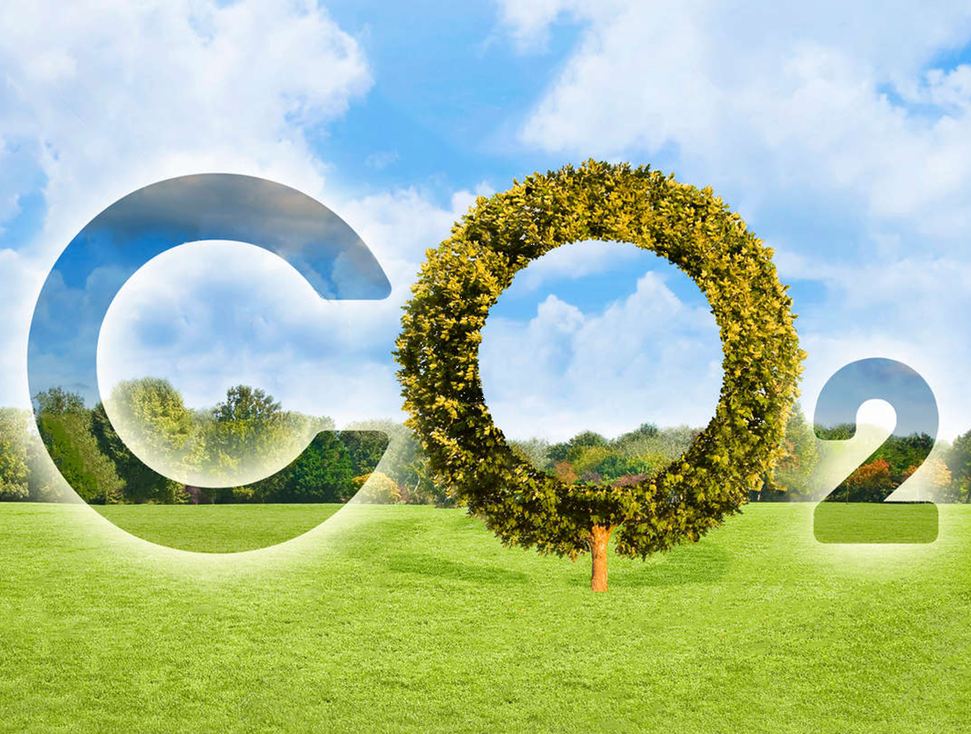 カーボンニュートラルLPガス